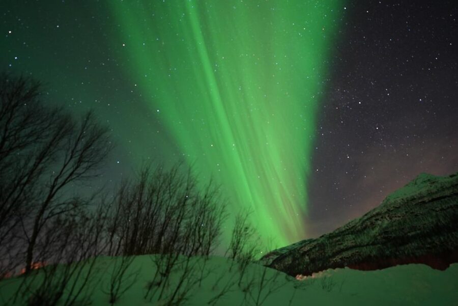 Tromsø: Northern Lights Minibus Small Private Tour Group - Why a small minibus changes the night