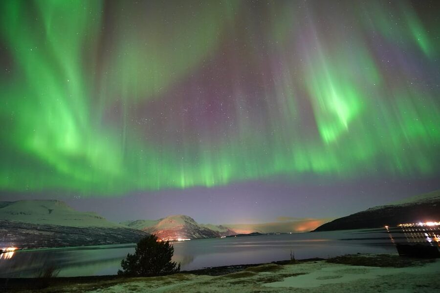 Tromso: Northern Lights Minibus Tour with Campfire - The five things that matter most