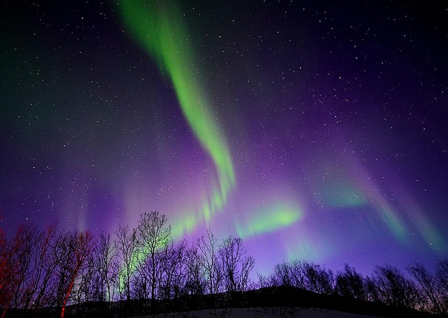 Tromso: Northern Lights Minibus Tour with Campfire - The first drive: leaving Tromsø’s city glow