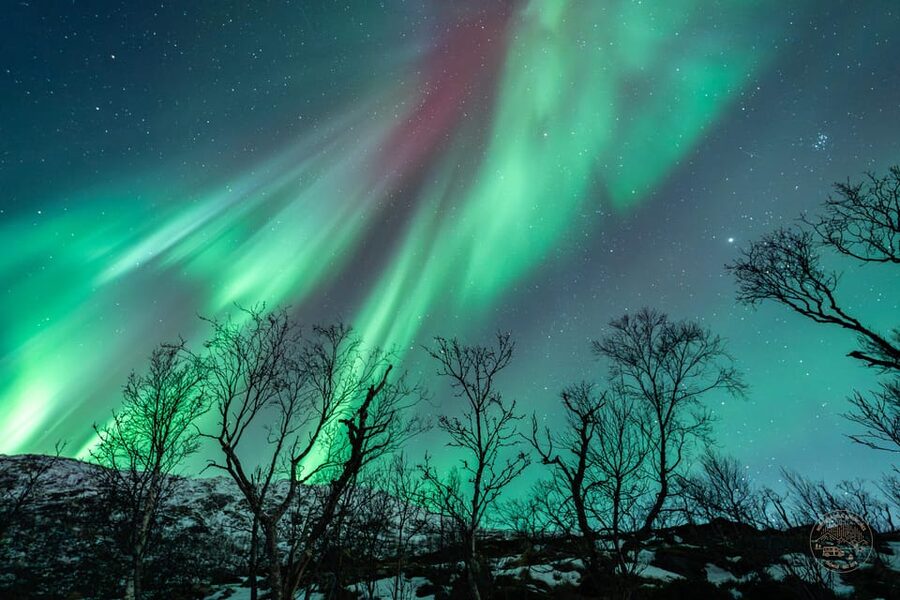 Tromsø: Northern Lights Photography Small-Group Tour - Choosing between nearby islands and Finland