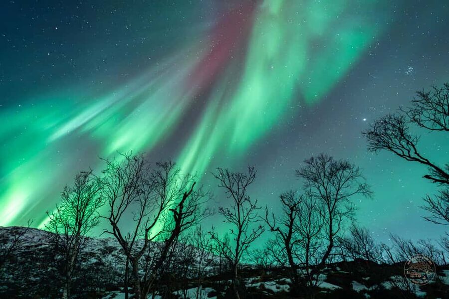 Tromsø: Northern Lights Photography Tour - Warm gear and the limits of comfort