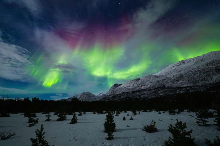 Tromsø: Northern Lights Photography Tour - Is the $236 price worth it?