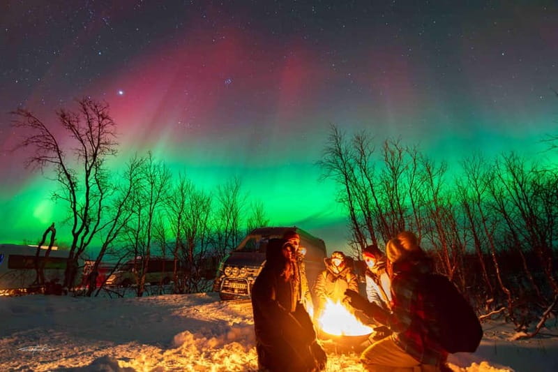 Tromsø: Northern Lights Safari - Getting photographs without carrying the evening