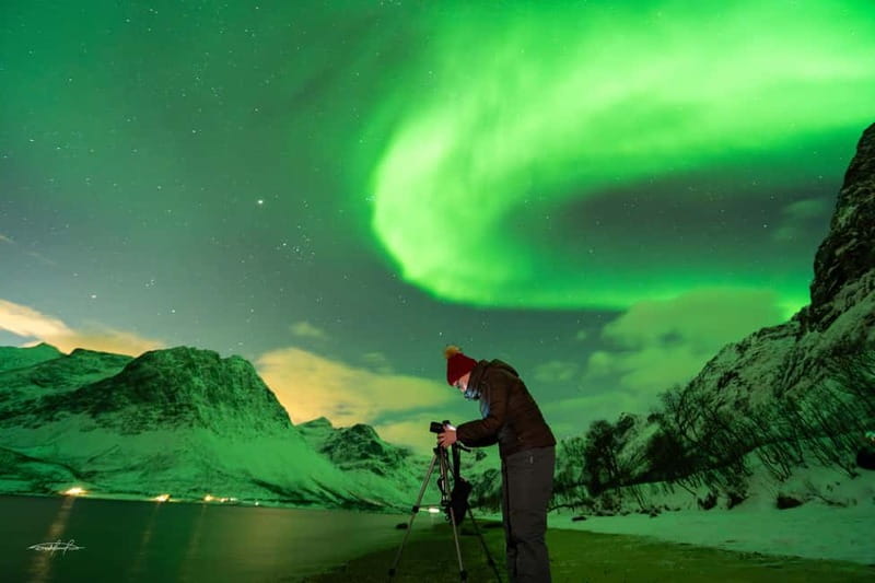 Tromsø: Northern Lights Safari - Standard safari or 15-person small group
