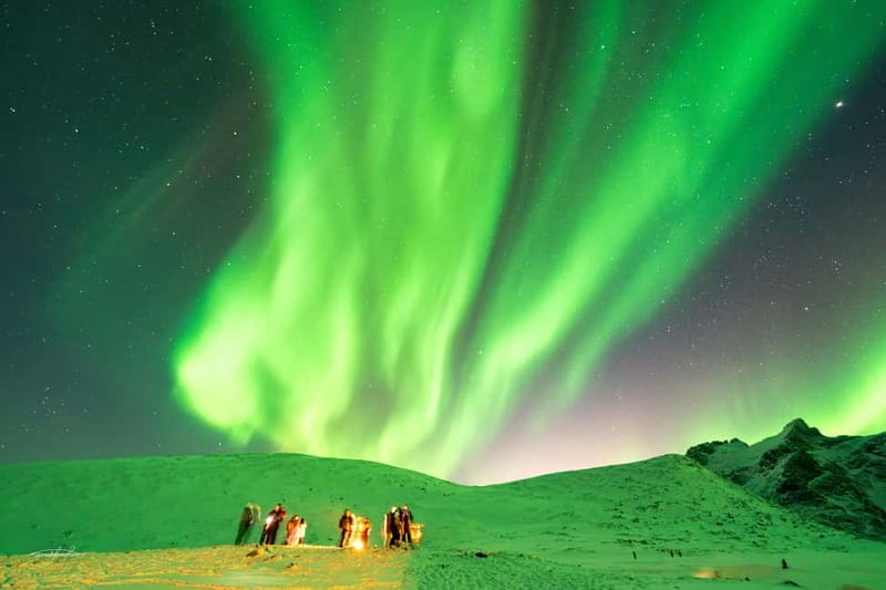 Tromsø: Northern Lights Safari - What the $146 price really covers
