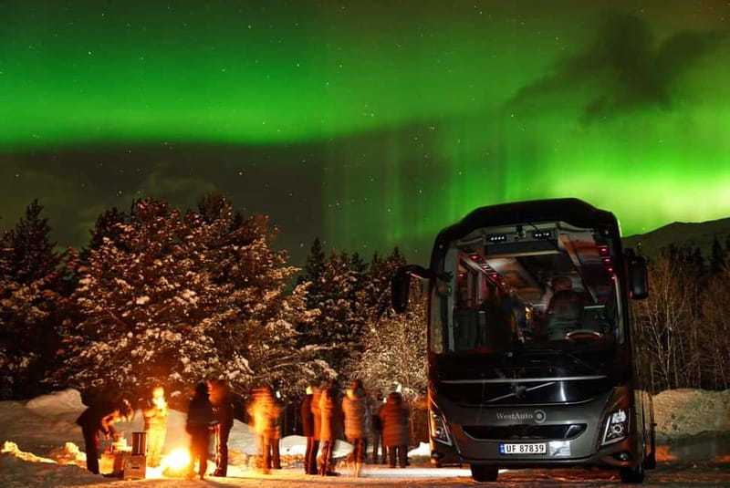 Tromsø: Northern Lights Safari - Timing, weather, and the best attitude