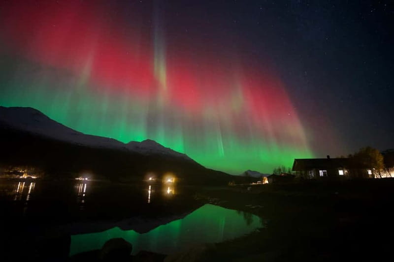 Tromsø: Northern Lights Tour - Key points at a glance