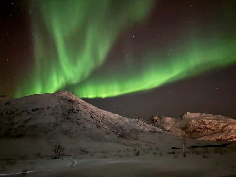 Tromsø: Northern Lights Tour - Waiting beside the bonfire
