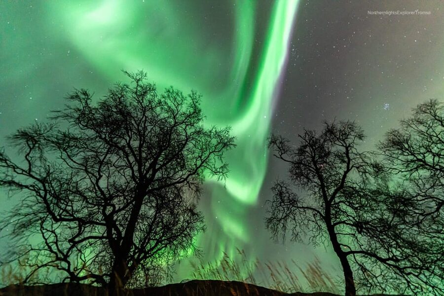 Tromsø: Northern Lights Tour w/Photo, Suits and Local Guide - The small van and the six-hour pace