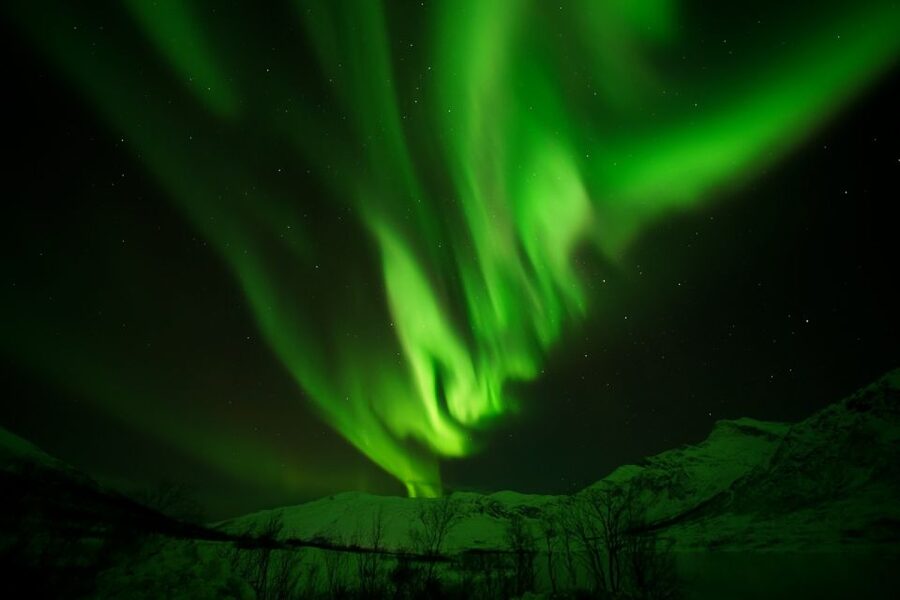 Tromsø: Northern Lights Tour with Free Professional Portrait - The ride back to Tromsø