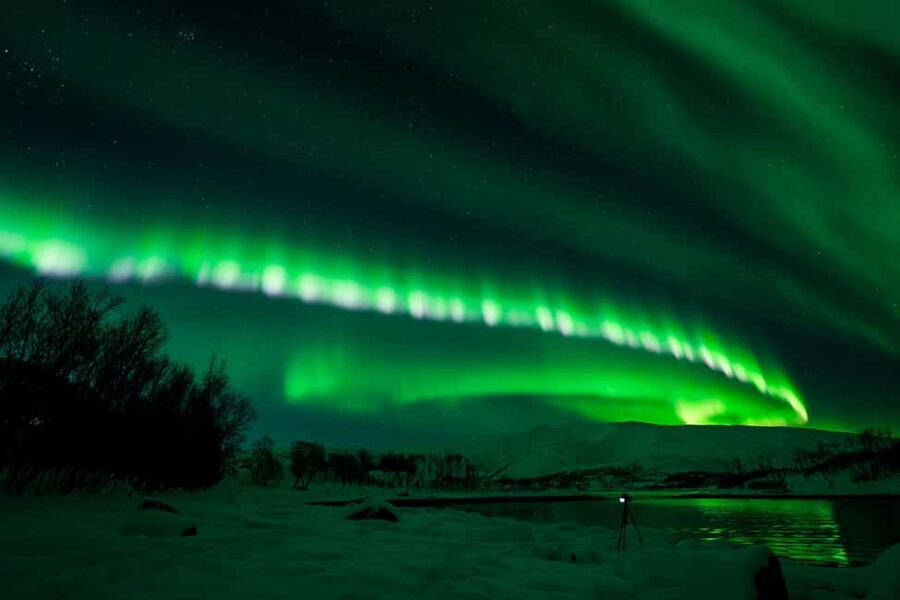 Tromsø: Northern Lights Tour with Guaranteed Sightings - Price and value at $274 per person