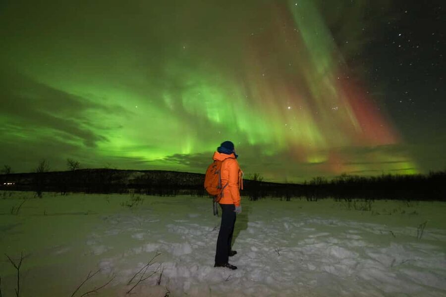 Tromsø: Northern Lights tour with local experts - Meeting at Storgata 25 and leaving Tromsø
