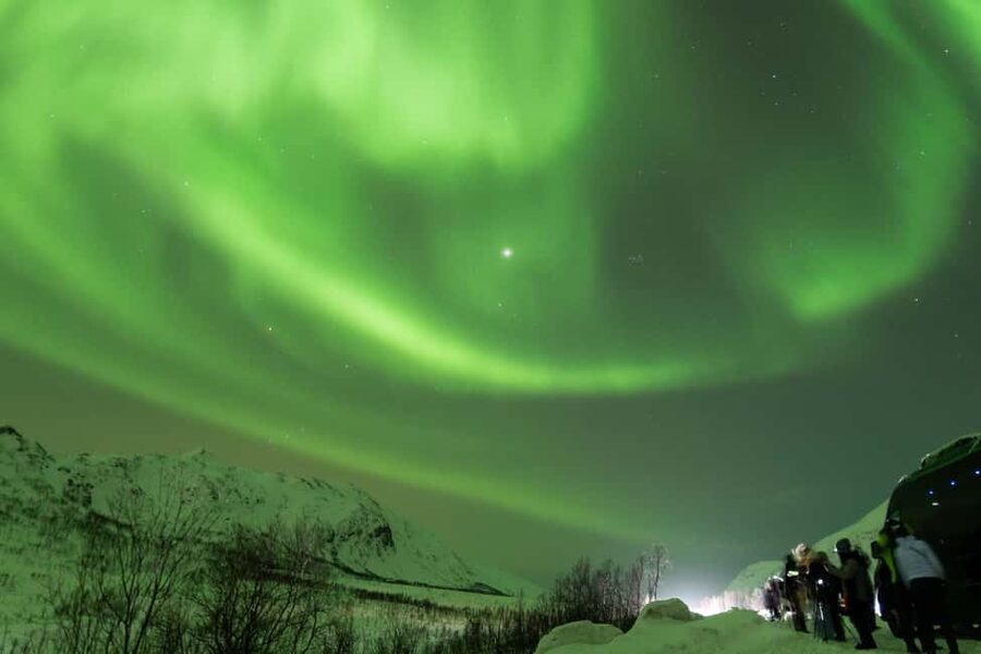 Tromsø: Northern Lights tour with local experts - What the value looks like at $195