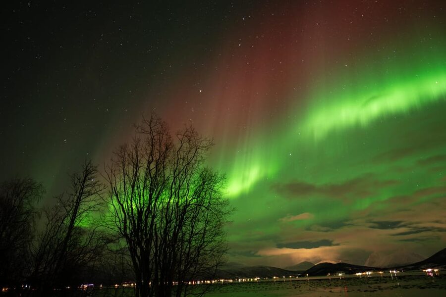 Tromsø: Northern Lights Tour with Local Guide and Photos - The second stop and the long road home