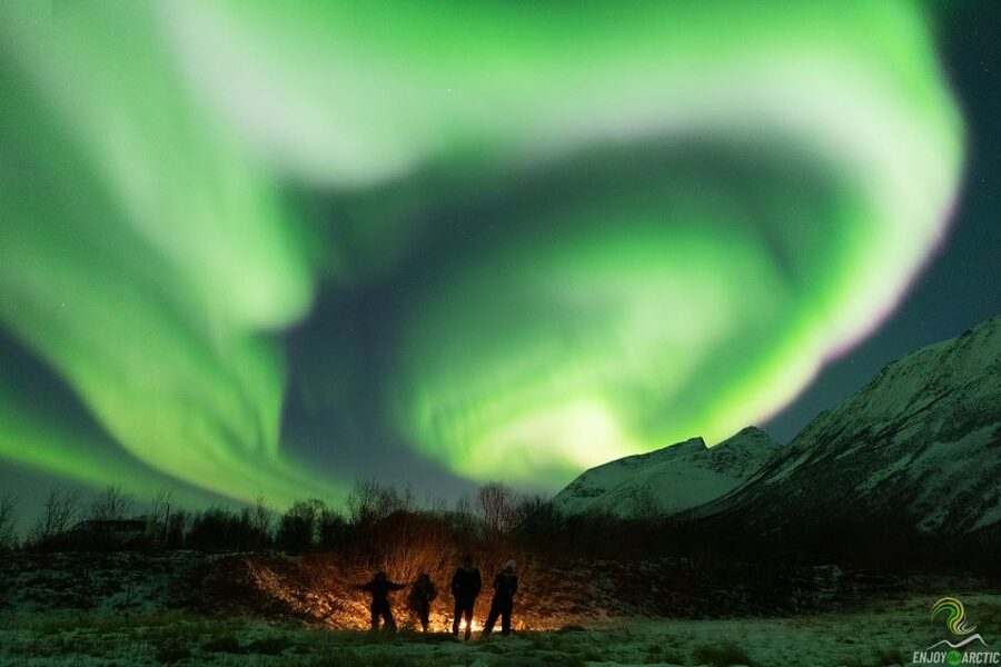 Tromsø: Northern Lights Trip with Campfire and Snacks - Key points to know before booking