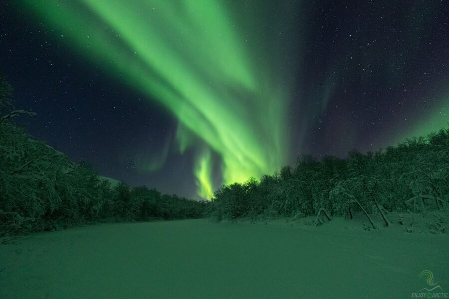 Tromsø: Northern Lights Trip with Campfire and Snacks - Booking advice and cancellation flexibility