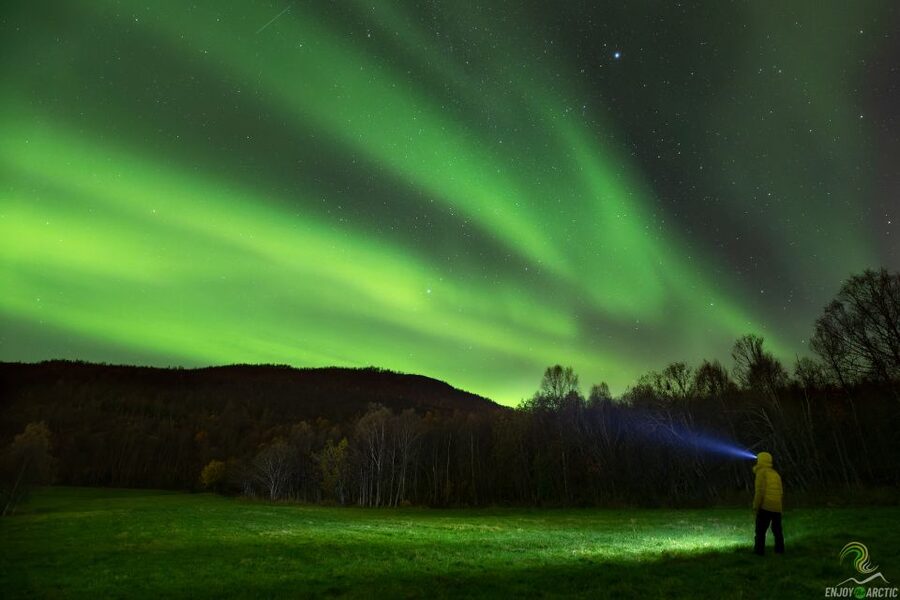 Tromsø: Northern Lights Trip with Campfire and Snacks - Leaving Magic Ice Bar and heading into the dark