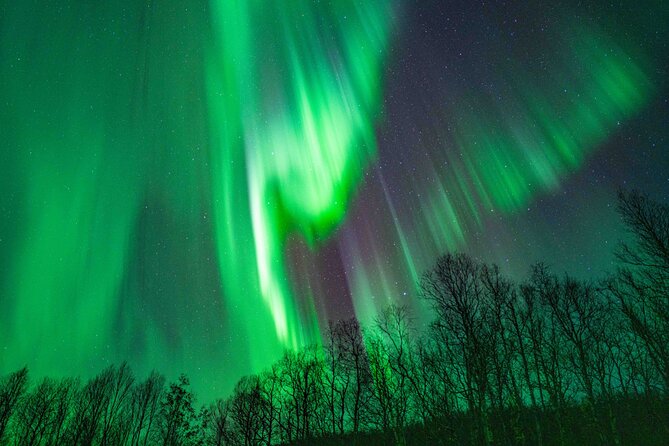 Tromsø Northern Lights with Campfire and Professional Photos - Timing, meeting point, and cancellation rules