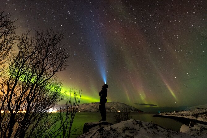 Tromsø Norway - Small Group Aurora Hunt Tour with a local guide - Key points to know before you book