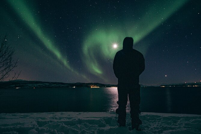 Tromsø Norway - Small Group Aurora Hunt Tour with a local guide - Following the coast, where the sea stays open