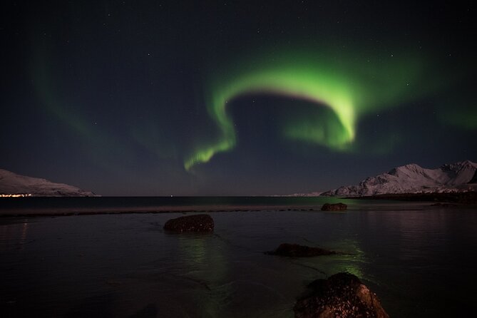 Tromsø Norway - Small Group Aurora Hunt Tour with a local guide - Food, fire, and practical comfort