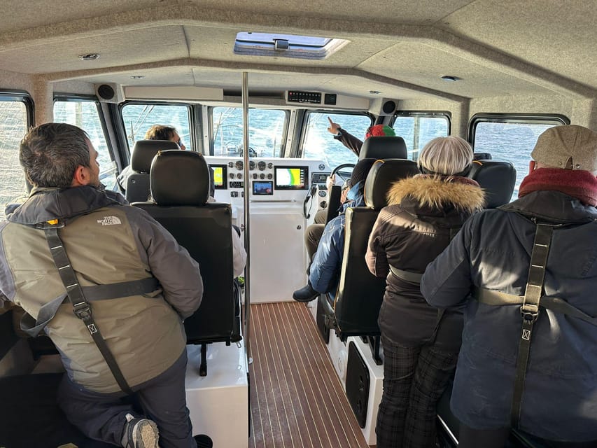 Tromsø: Orca and Whale Watching comfort heated boat Trip - Finding the Skua Hub in Skjervøy