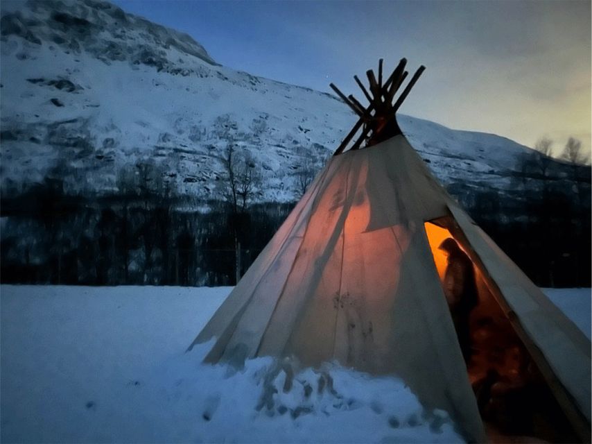 Tromsø: Reindeer Experience at a Sami Camp - A short ride from Tromsø to Lavangsdalen