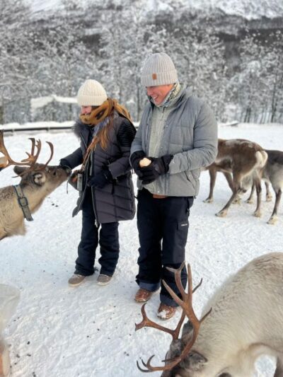Reindeer Experience at a Sami Camp