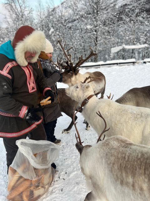 Tromsø: Reindeer Experience at a Sami Camp - Warming up beside the fire