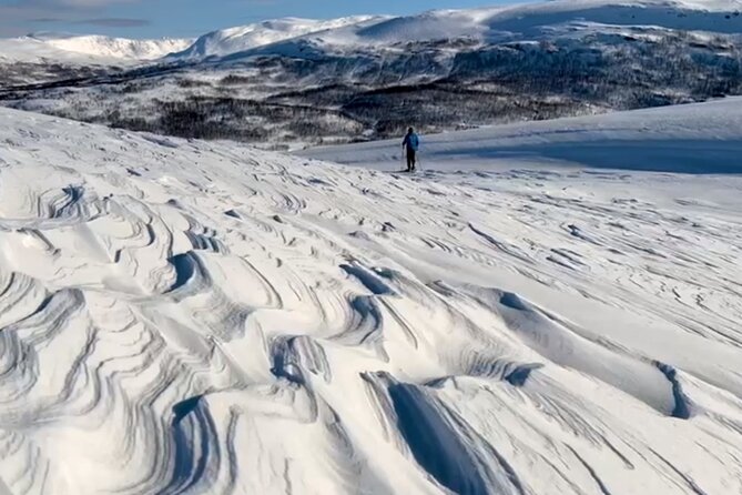 Tromso: Reindeer Feeding and Snowshoeing Tour with Lunch - Key Points About This Tromsø Winter Tour