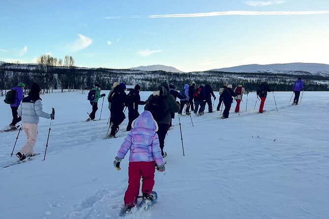 Tromso: Reindeer Feeding and Snowshoeing Tour with Lunch - Why the Reindeer Feeding Comes First