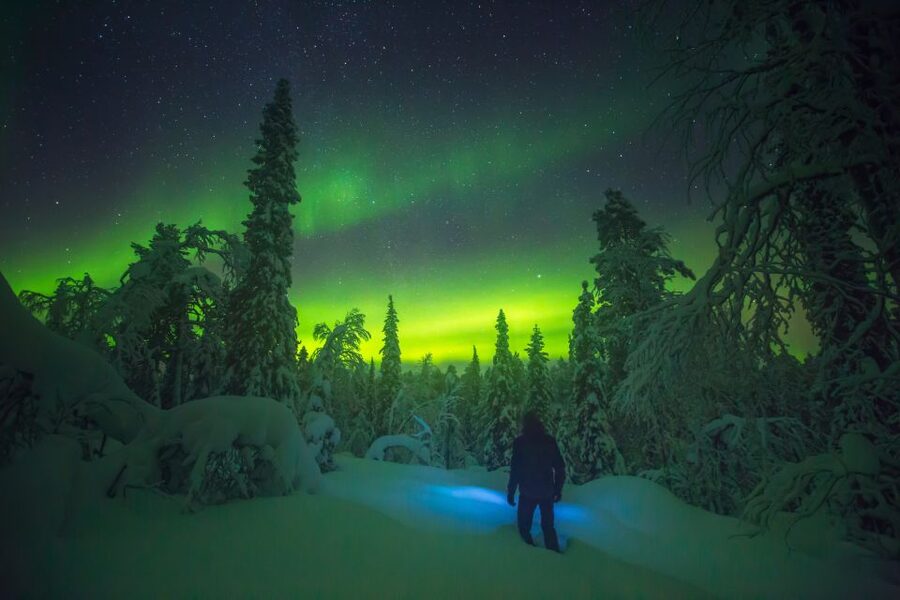 Tromsø: Reindeer Sled, Dinner, and Chance of Northern Lights - Listening to Sami stories in the lavuu