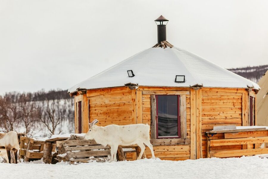 Tromsø: Reindeer Sledding & Feeding with a Sami Guide - Warming up inside the lavuu