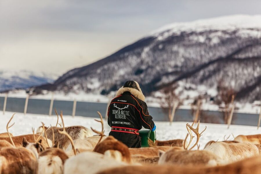 Tromsø: Reindeer Sledding & Feeding with a Sami Guide - Who will enjoy this Tromsø experience?