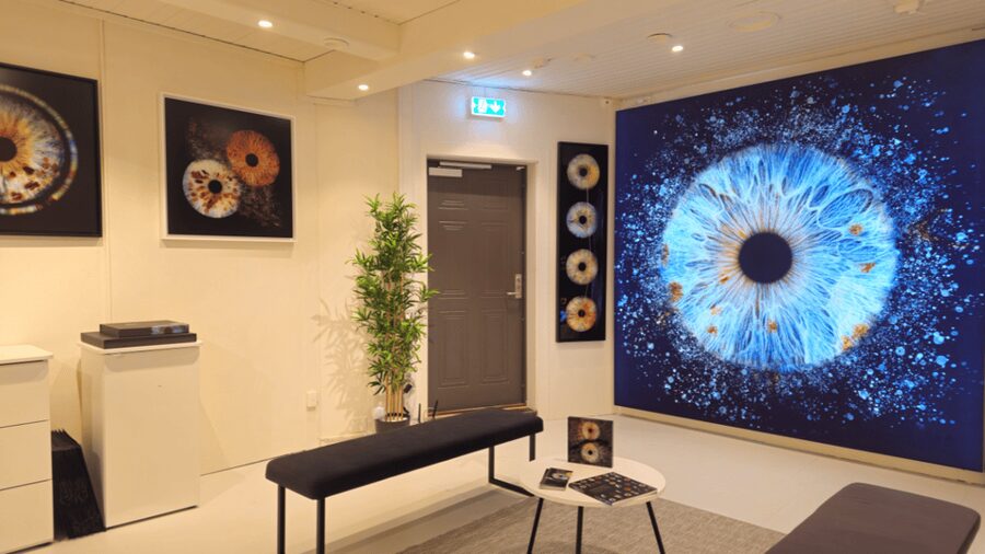 Tromsø: Reveal Your Eye Experience at the Iris Galerie - The image-selection stage deserves your attention