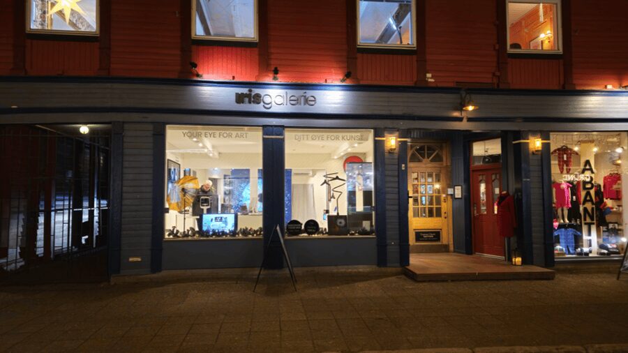 Tromsø: Reveal Your Eye Experience at the Iris Galerie - Accessibility and practical points to check