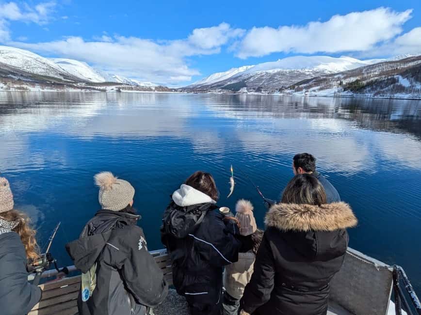 Tromsø’s Top-Rated Fjord & Fishing Cruise – All-Inclusive - Key points to know before boarding