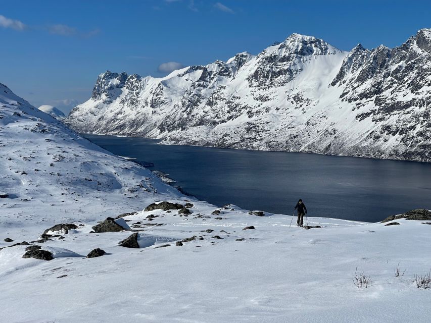 Tromso: Scenic & Eco-Friendly Snowshoeing Tour - Practical advice before you go
