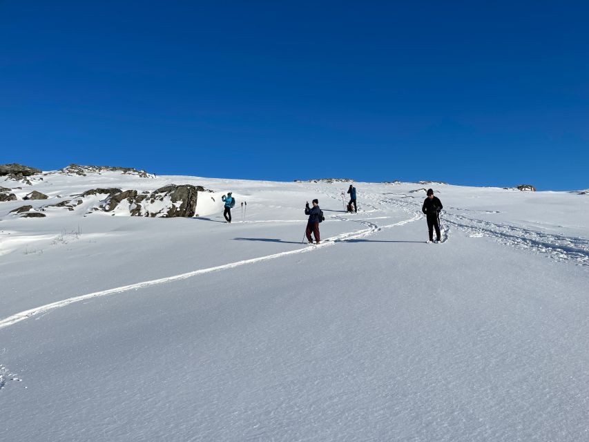 Tromso: Scenic & Eco-Friendly Snowshoeing Tour - Local guides make the difference