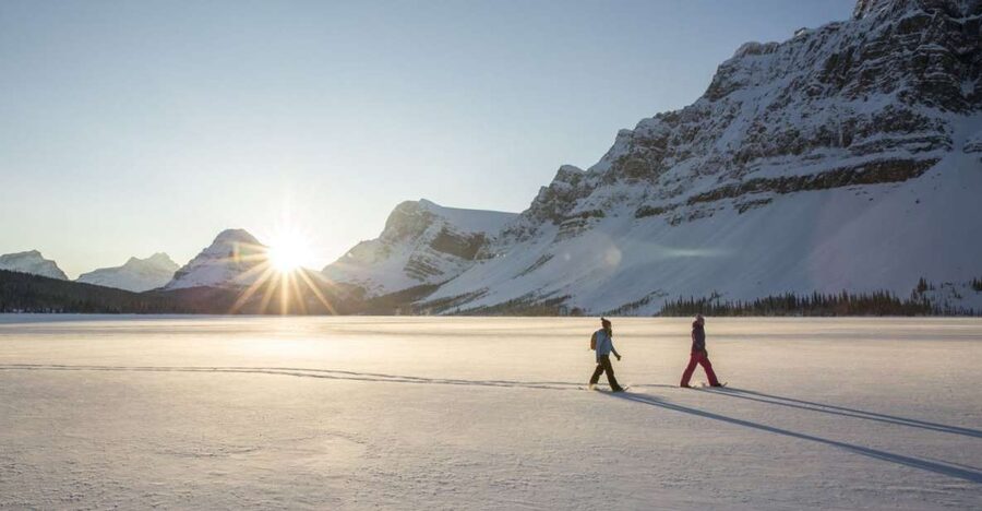 Tromso: Scenic & Eco-Friendly Snowshoeing Tour - Who should book this snowshoe tour?