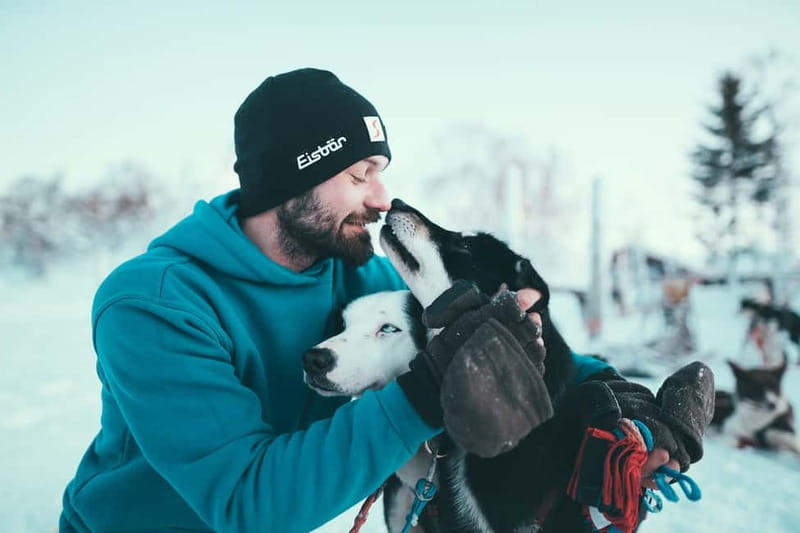 Tromsø: Self-Drive Husky Dog Sledding Adventure - Key points at a glance