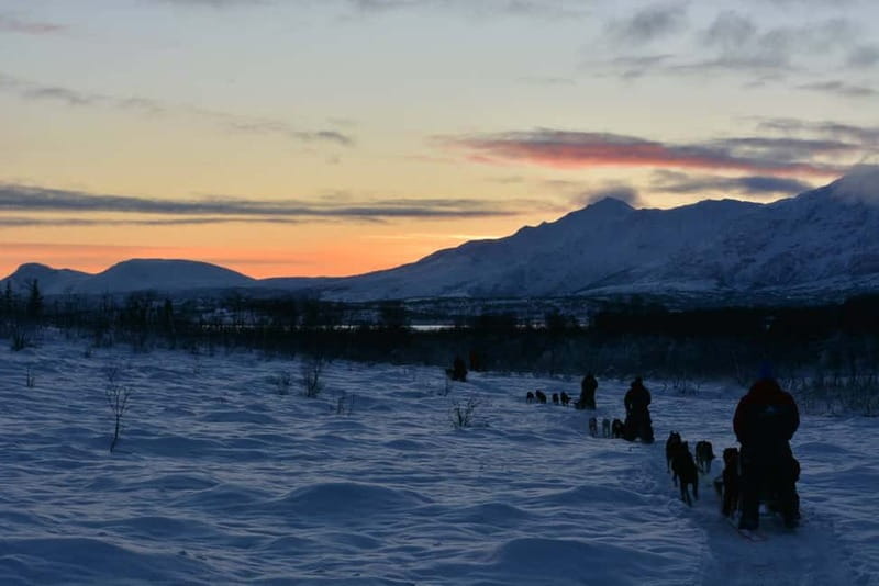 Tromsø: Self-Drive Husky Dog Sledding Adventure - Practical advice for a smoother day