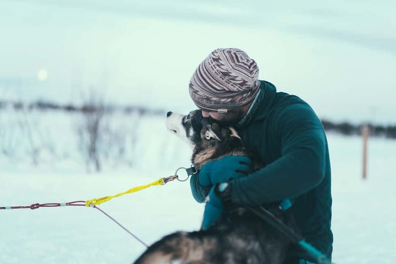 Tromsø: Self-Drive Husky Dog Sledding Adventure - Who will enjoy this most