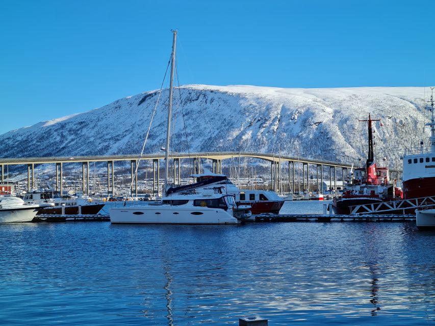 Tromso: Sightseeing Cruise by Catamaran with Snacks & Drinks - Is $136 a fair price for two hours?