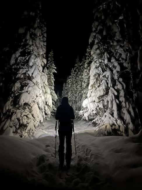 Tromsø: Ski touring (ski de randonnee) - December to February: skiing under the polar night