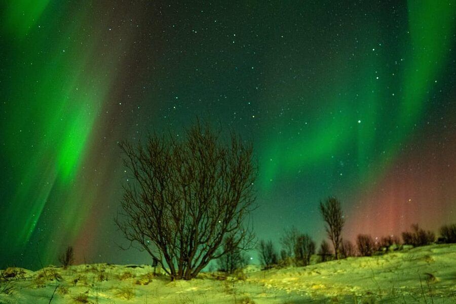 Tromsø: Small-Group Adventurous Northern Lights Hunt - Key details before you book