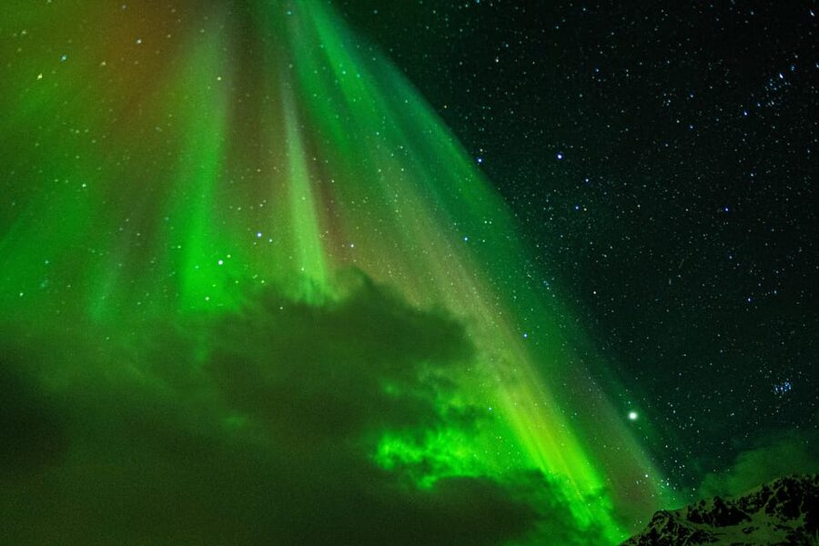 Tromsø: Small-Group Adventurous Northern Lights Hunt - A guide-led experience with room for comparison
