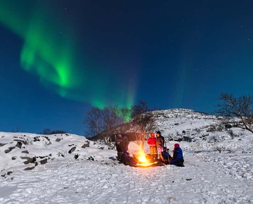 Tromsø: Small Group Northern Lights Hunt - Key points to know before booking