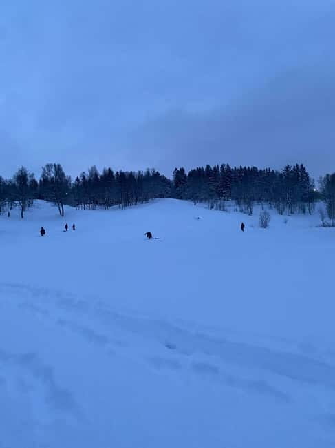 Tromsø: Snow Sledding, Mini Skiing, Lasso and Reindeer Hides - Timing, Clothing, and Practical Advice