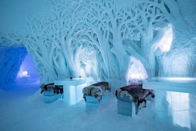 Tromsø Snowmobiling, Ice Domes Snow Park, and Reindeer Visit - The 90-minute ride from Tromsø to Camp Tamok